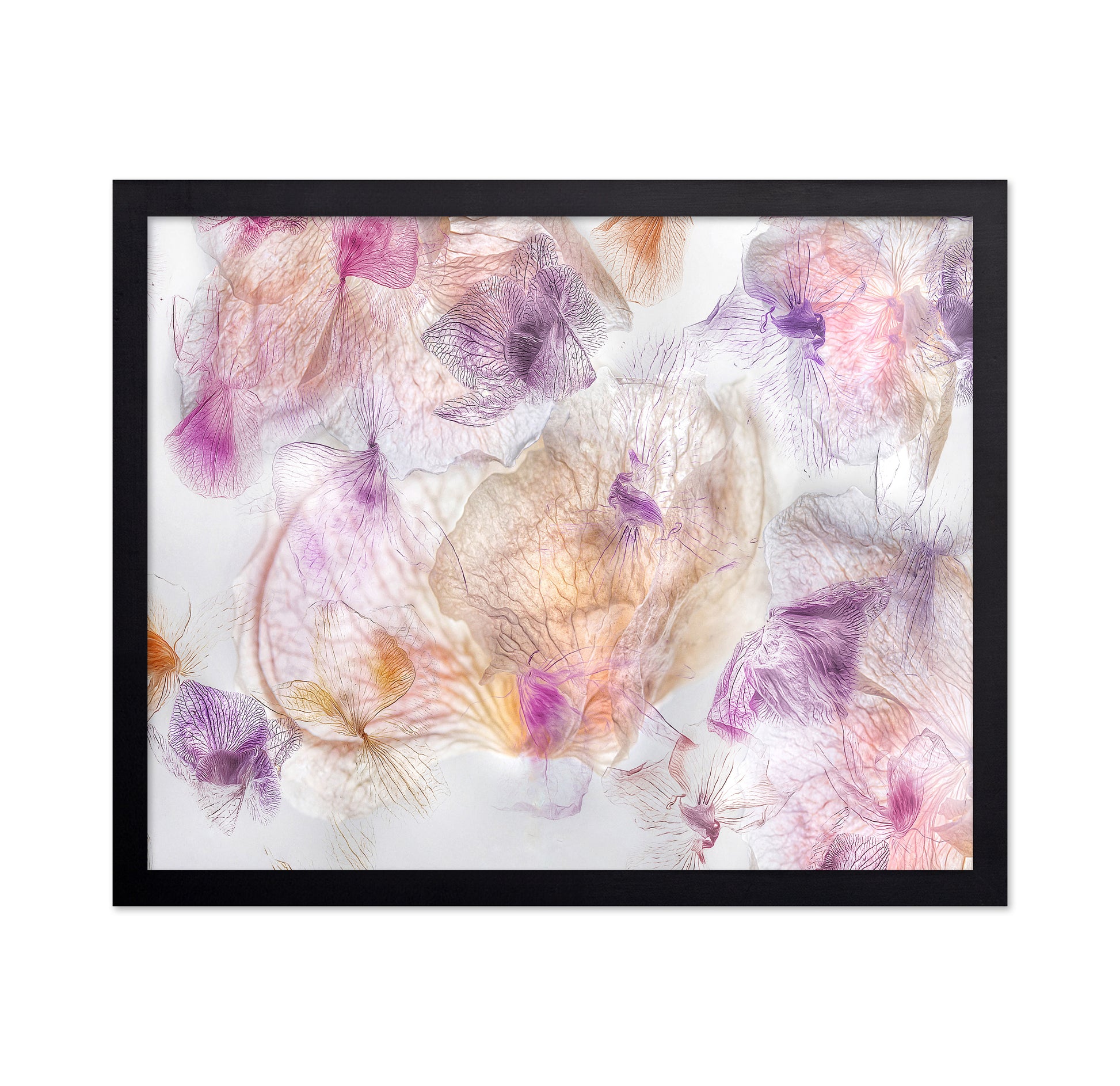 Ethereal Flowers No 1