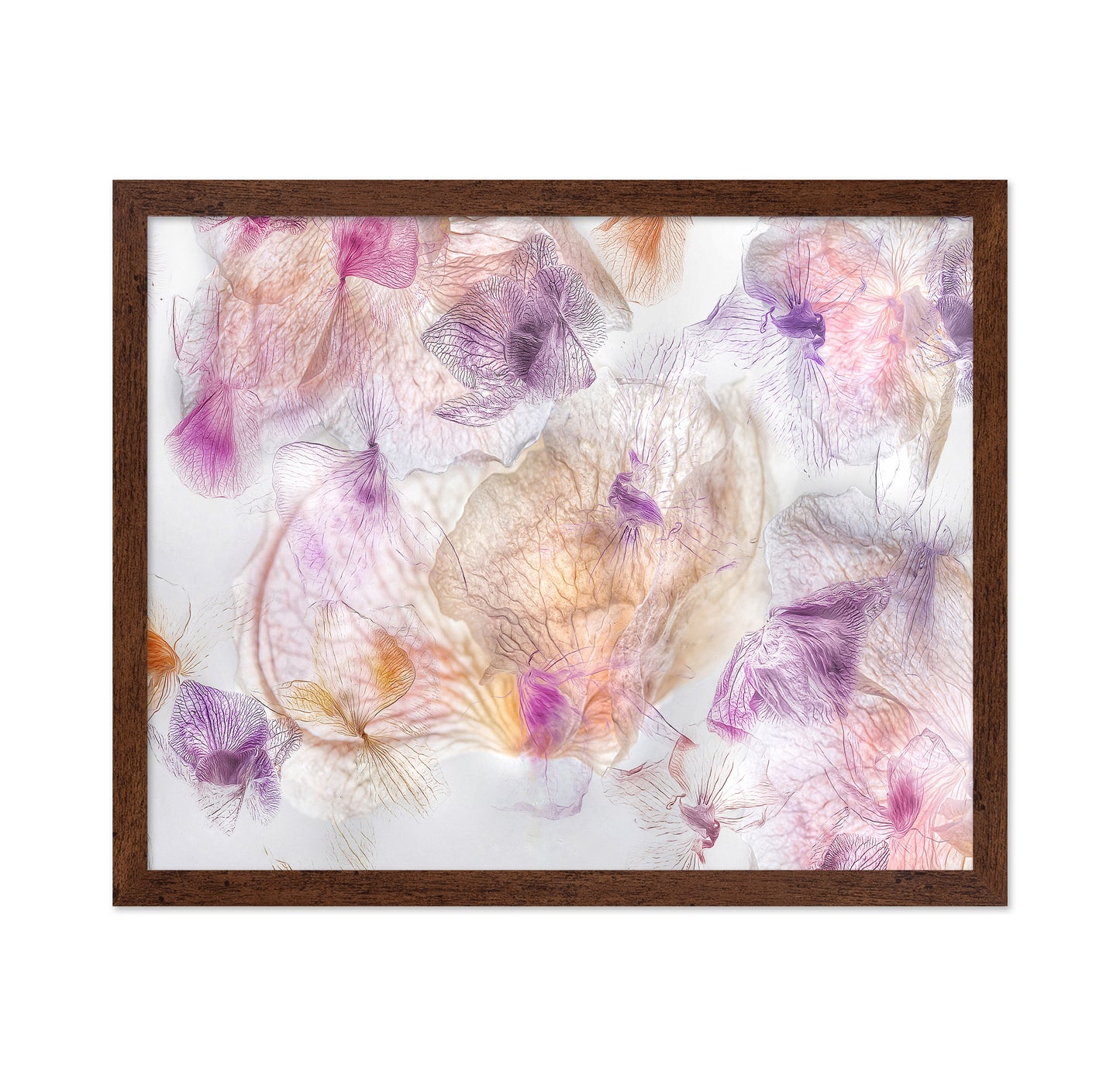 Ethereal Flowers No 1