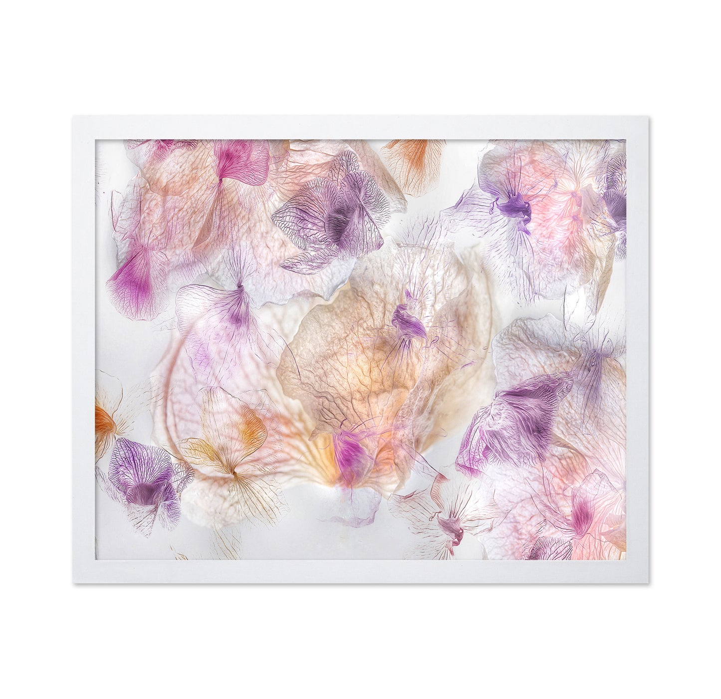 Ethereal Flowers No 1