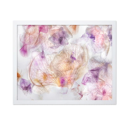 Ethereal Flowers No 1