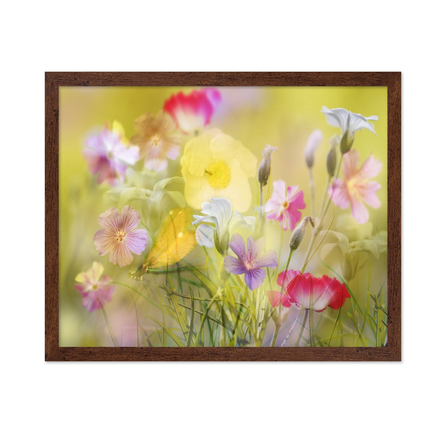 Tiny Garden In A Summer Field