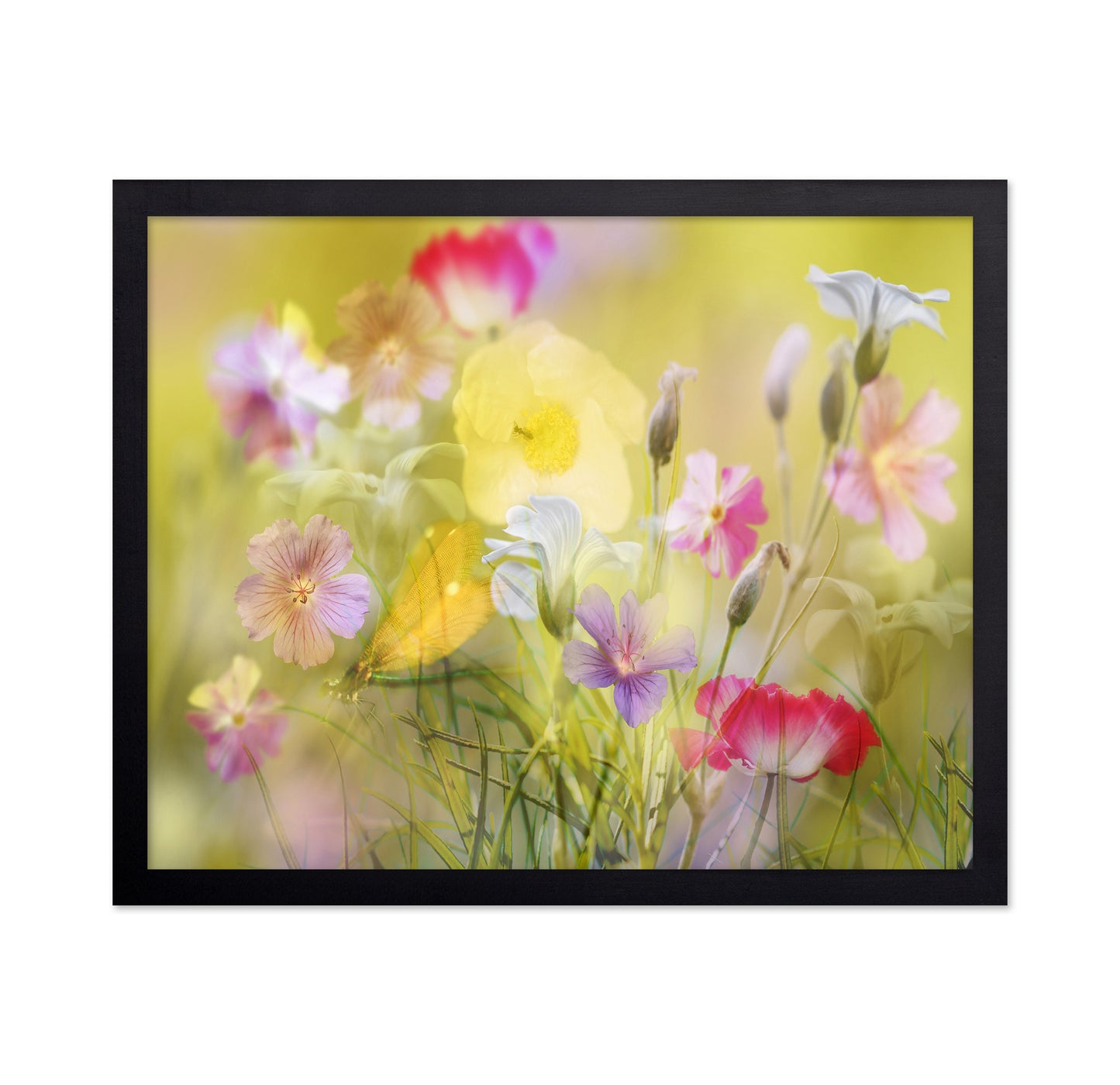 Tiny Garden In A Summer Field