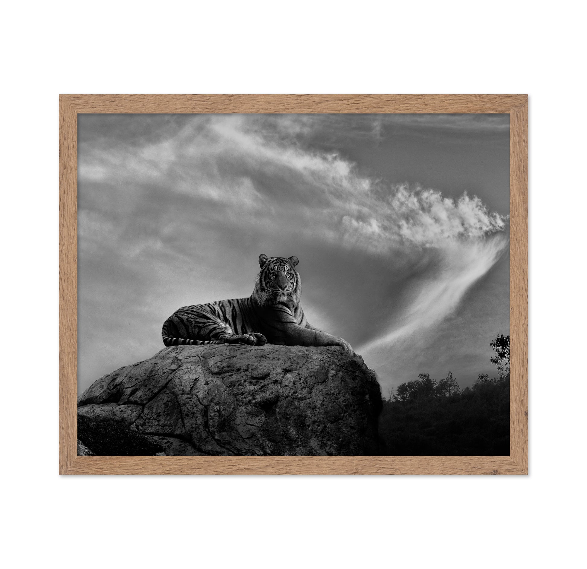 On the Watch