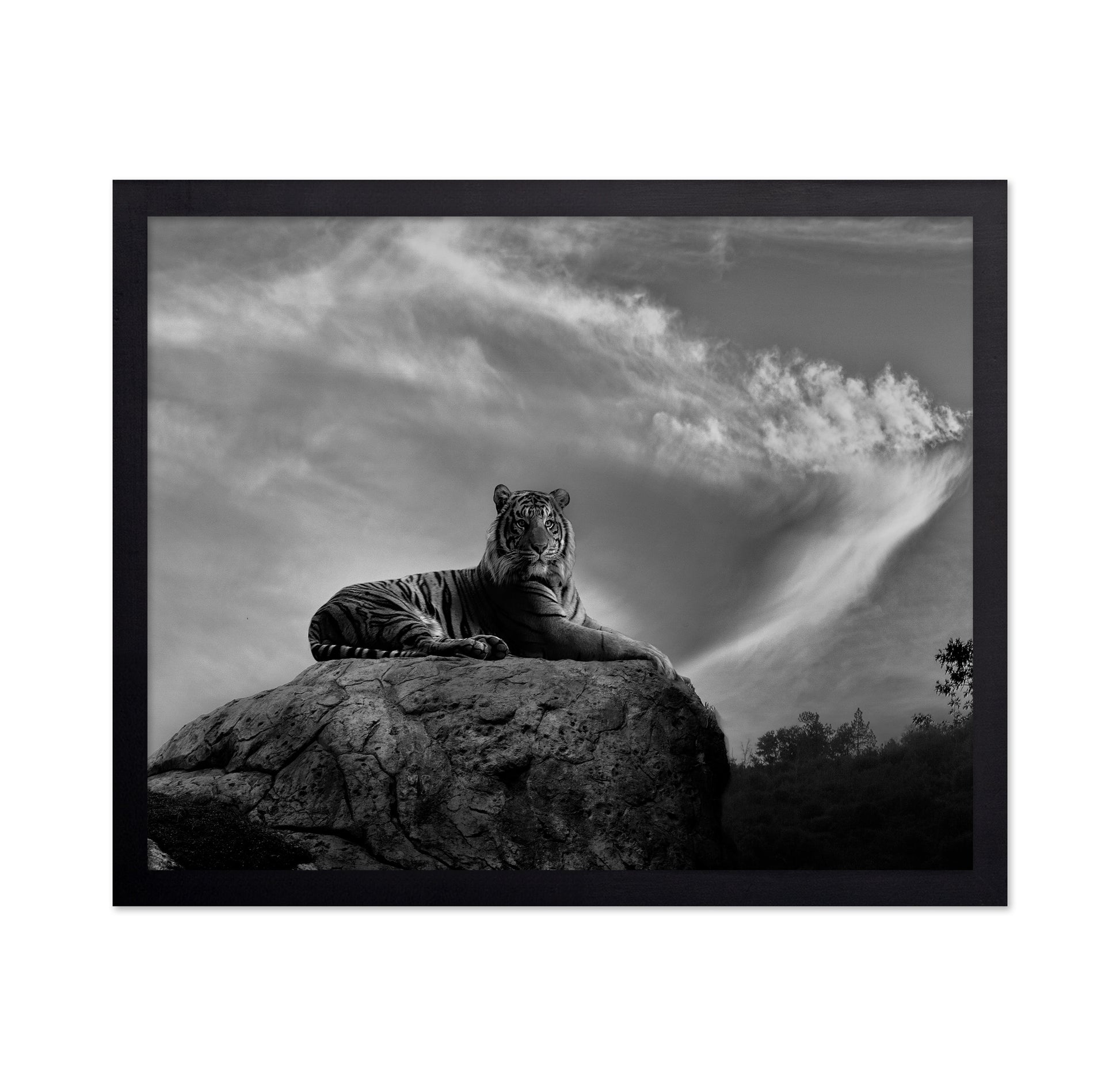 On the Watch
