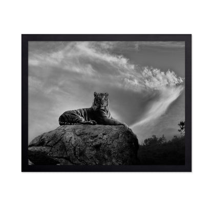 On the Watch