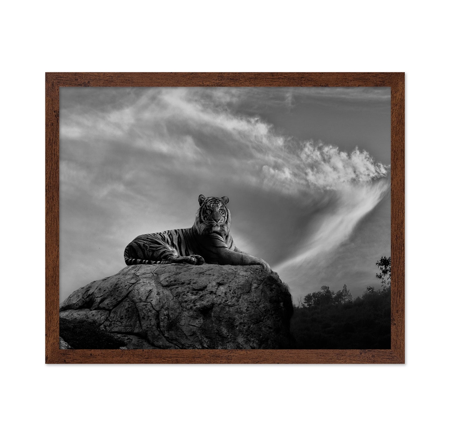 On the Watch