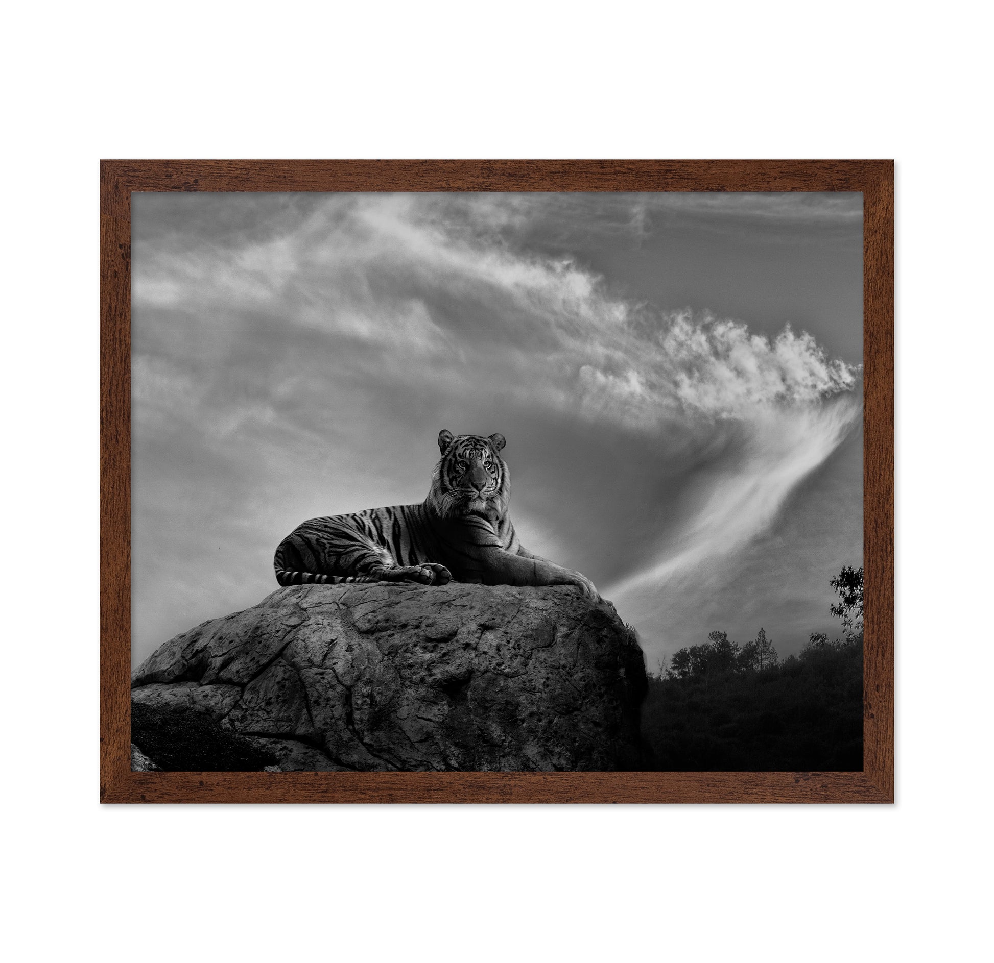 On the Watch