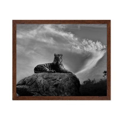 On the Watch