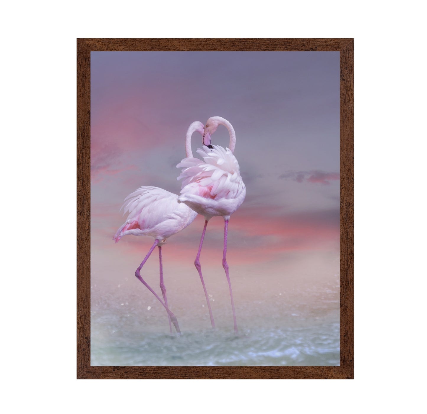 Flamingo Ballet