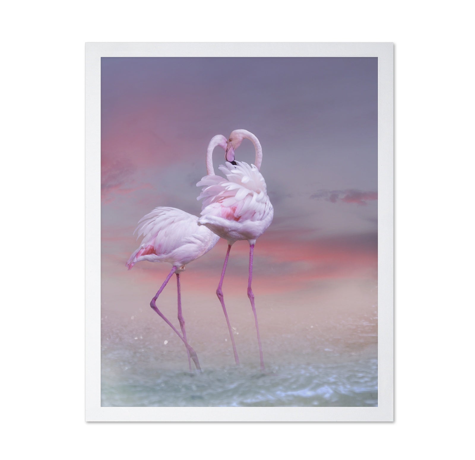 Flamingo Ballet