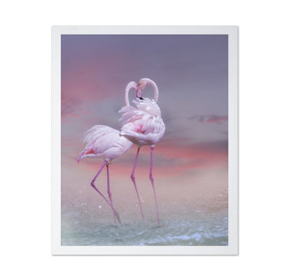 Flamingo Ballet