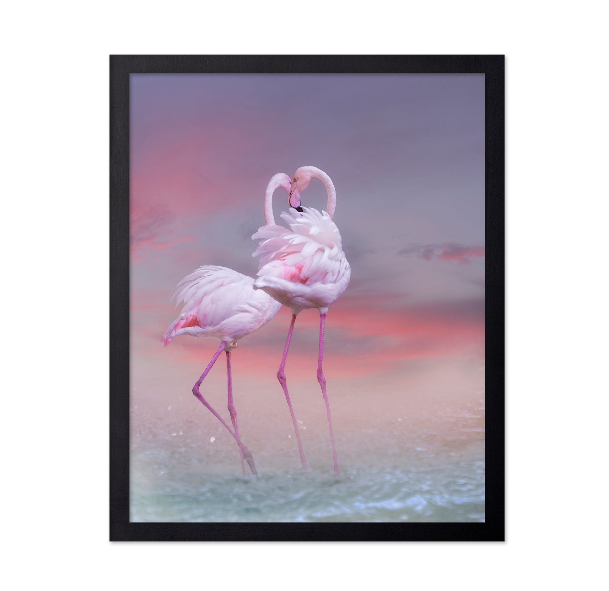 Flamingo Ballet