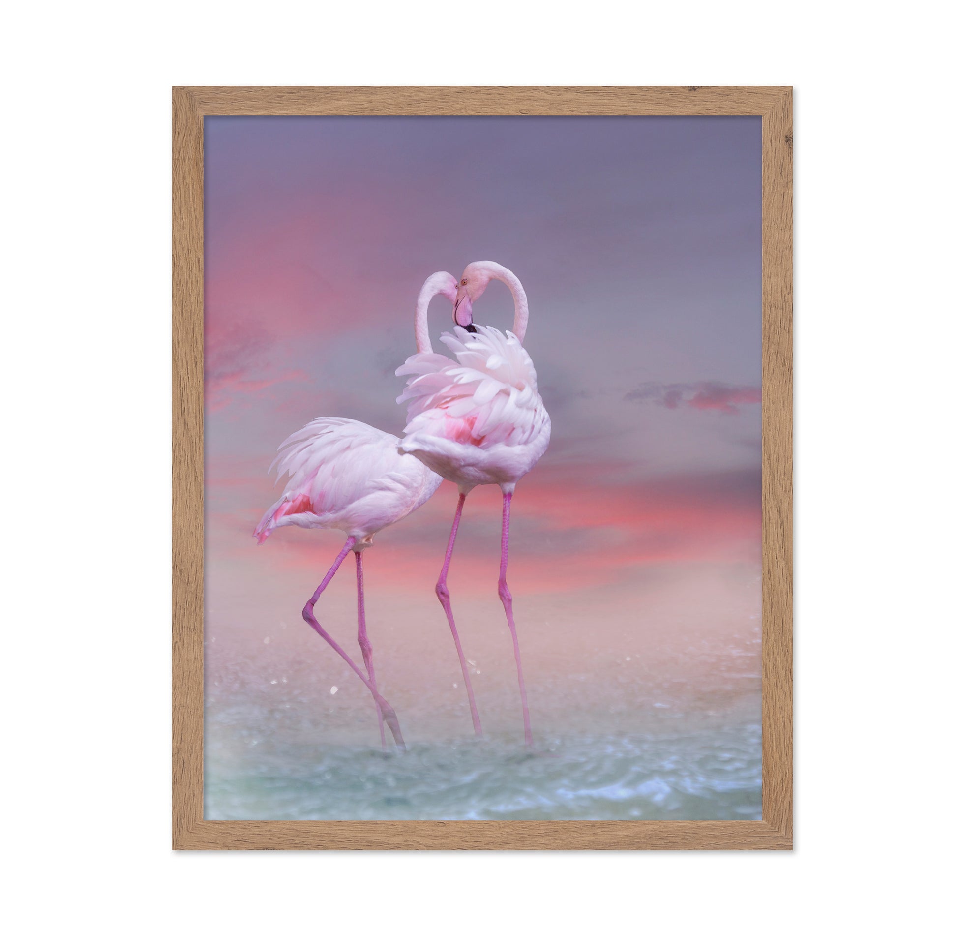 Flamingo Ballet