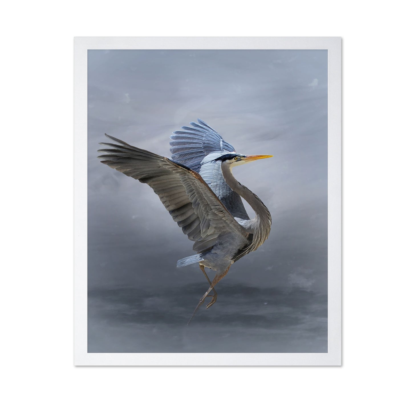 The Great Blue Heron