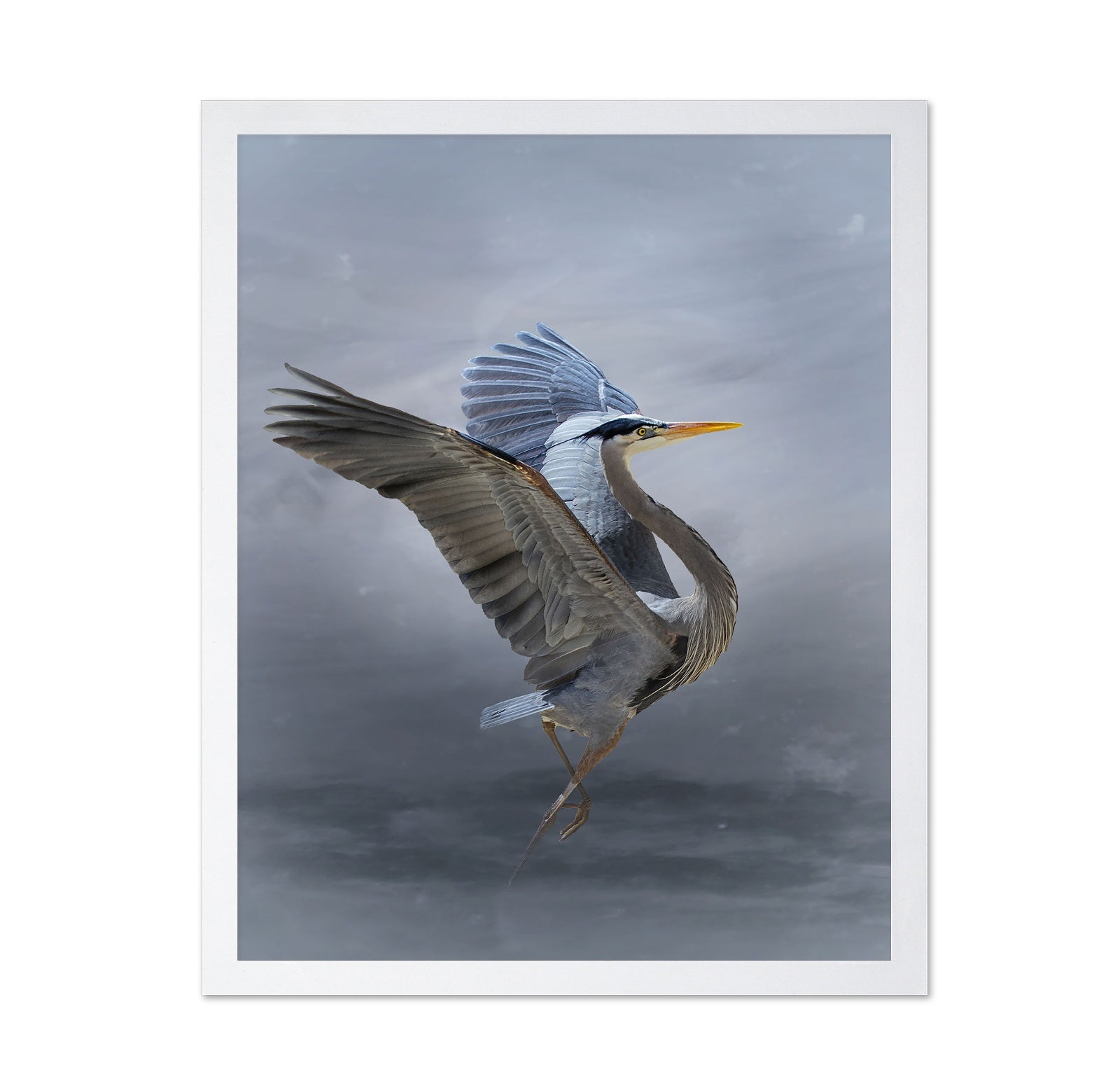 The Great Blue Heron
