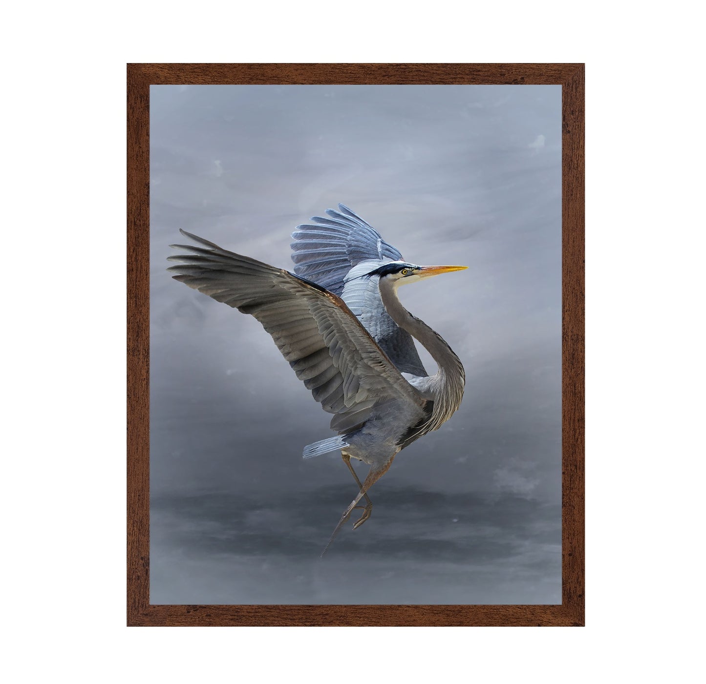 The Great Blue Heron