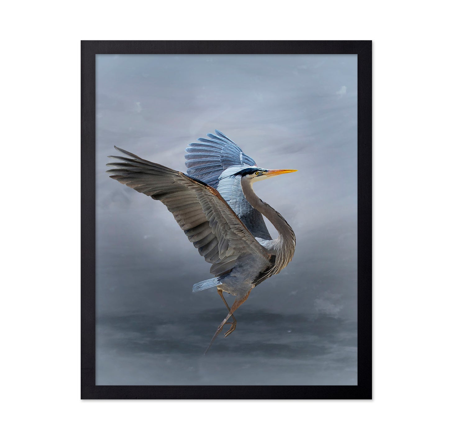 The Great Blue Heron