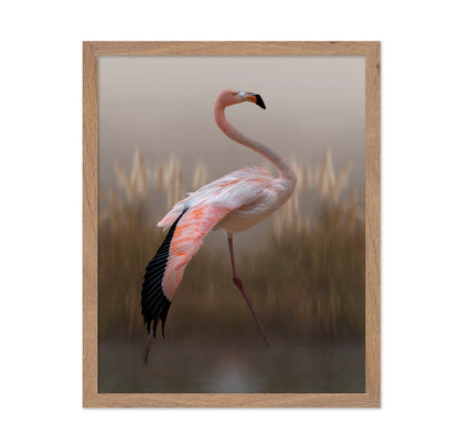 Flamingo in Soft Light