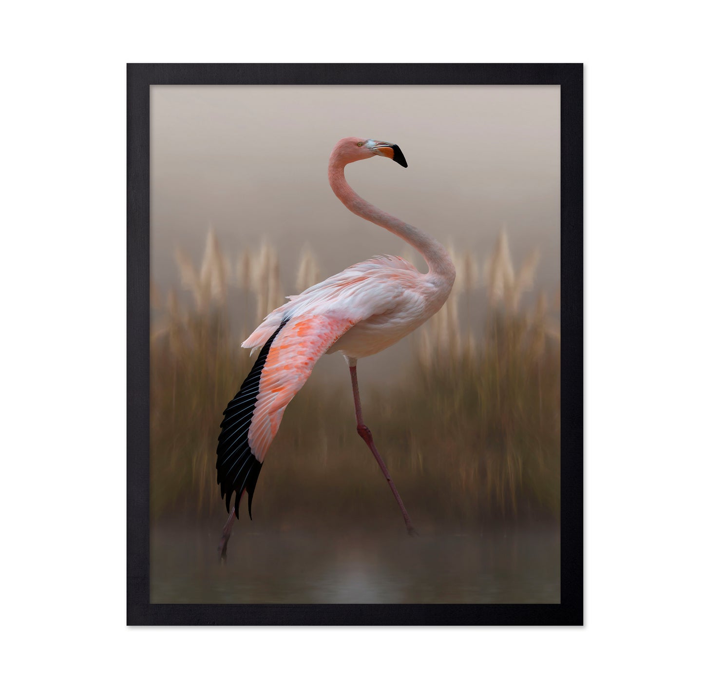 Flamingo in Soft Light