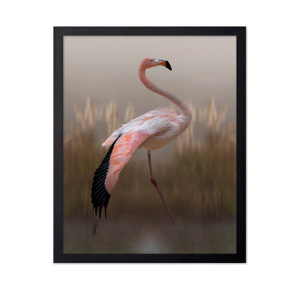 Flamingo in Soft Light