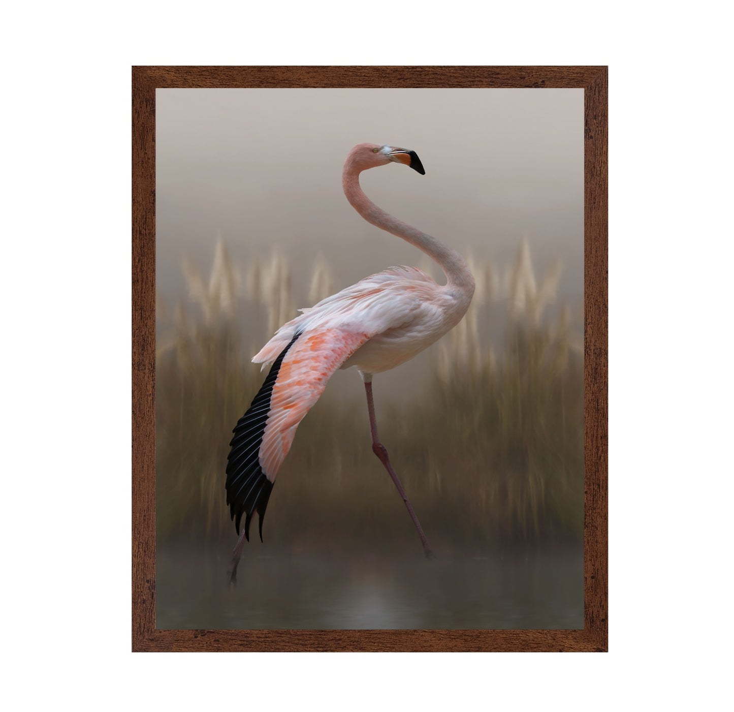 Flamingo in Soft Light