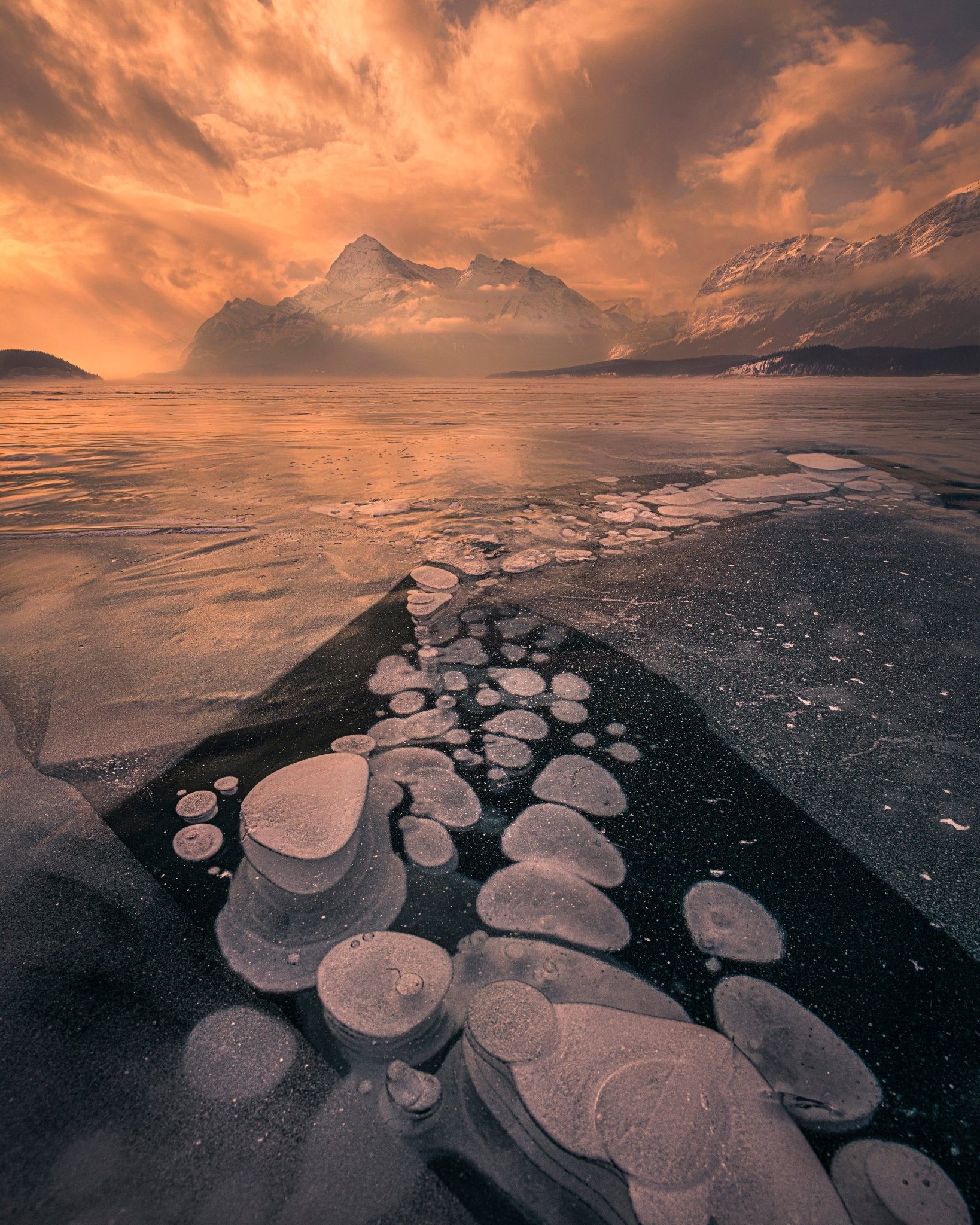 Ice Meets Fire