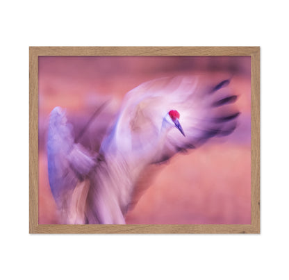 The Dance