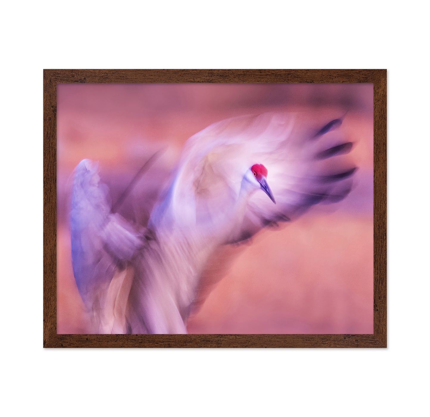 The Dance