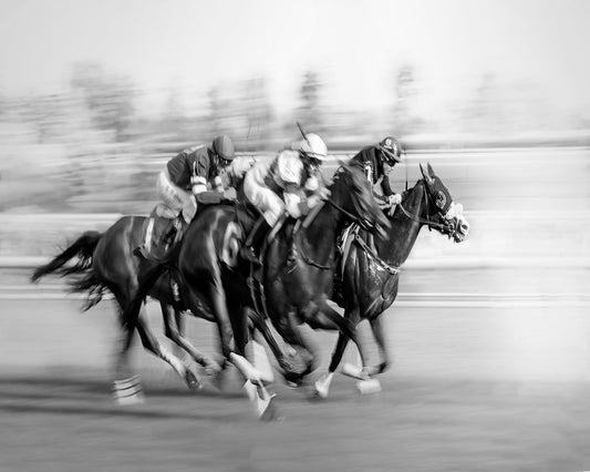 Horse Racing At Queen's Plate
