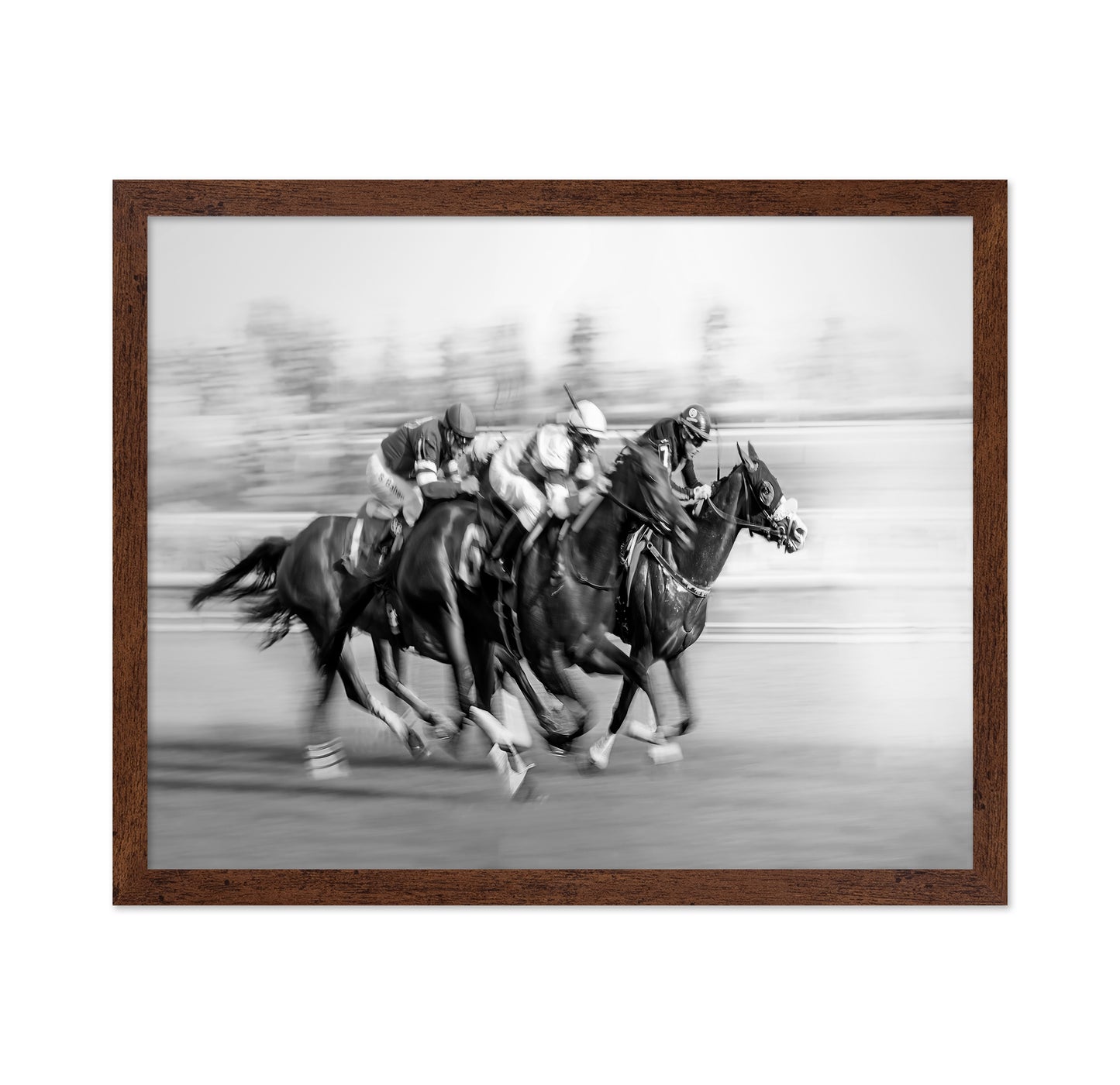 Horse Racing At Queen's Plate