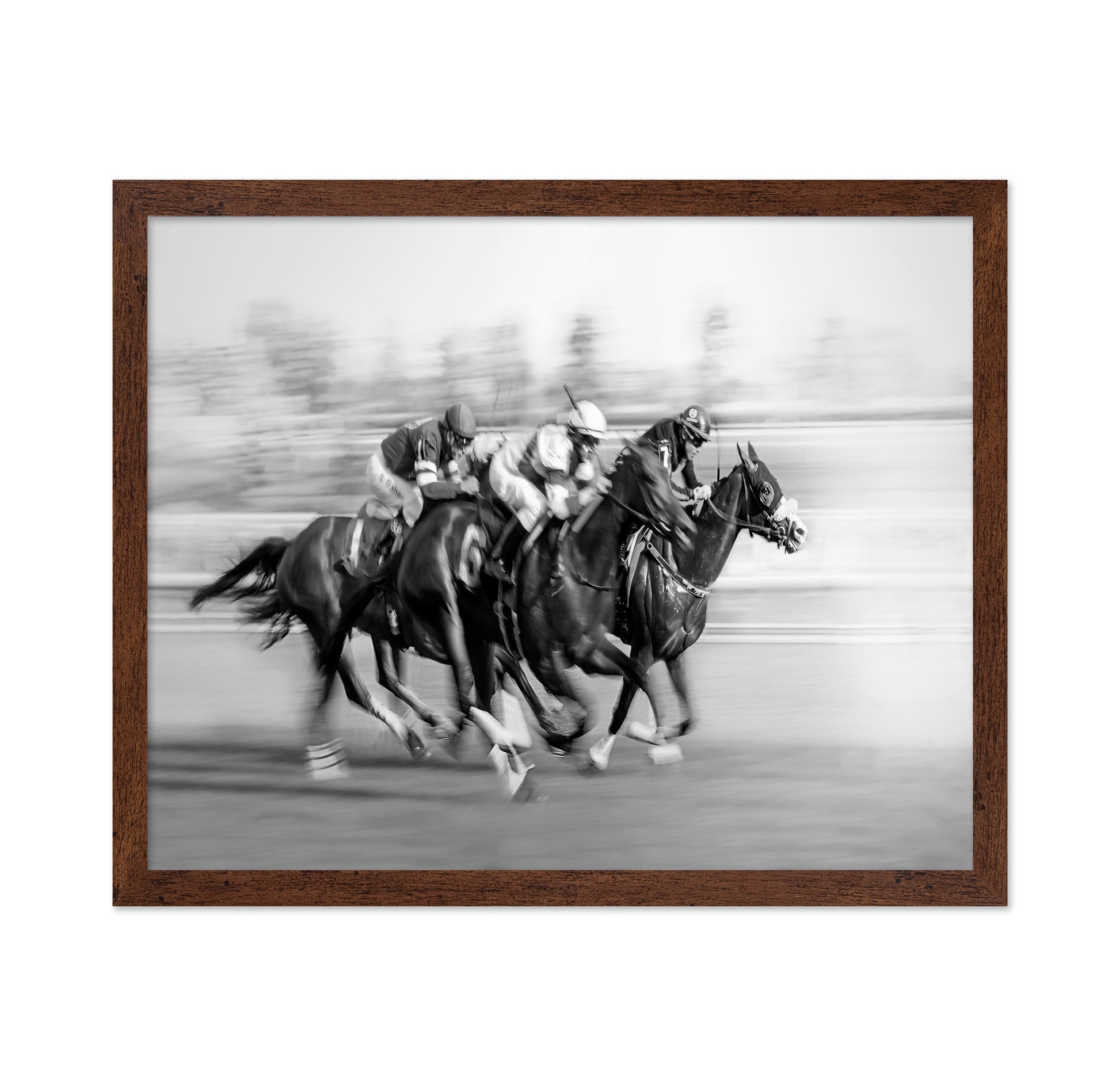 Horse Racing At Queen's Plate