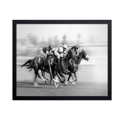Horse Racing At Queen's Plate