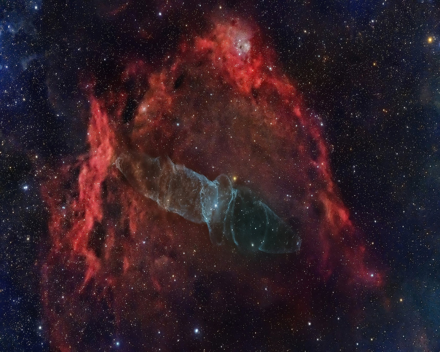Squid Nebula