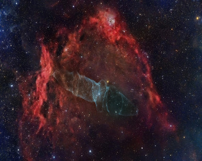 Squid Nebula