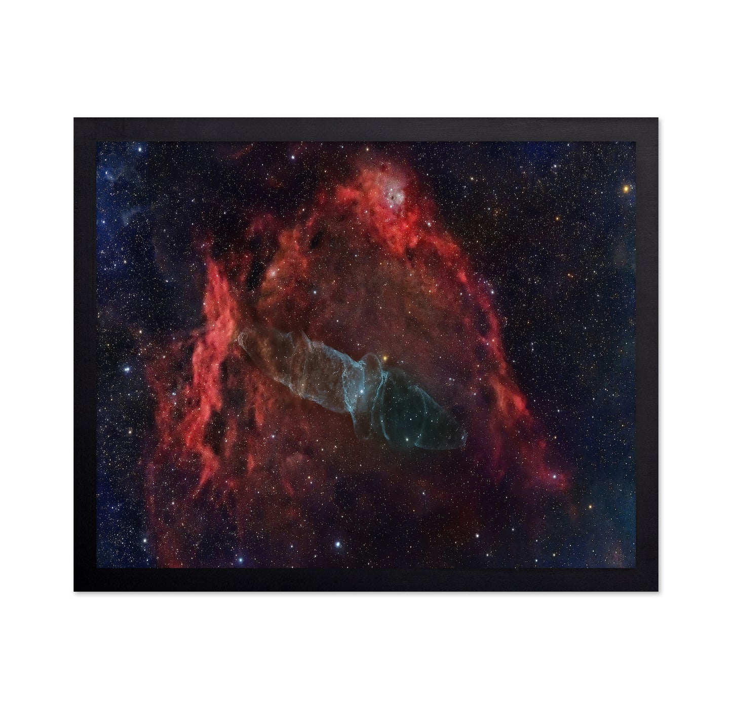 Squid Nebula