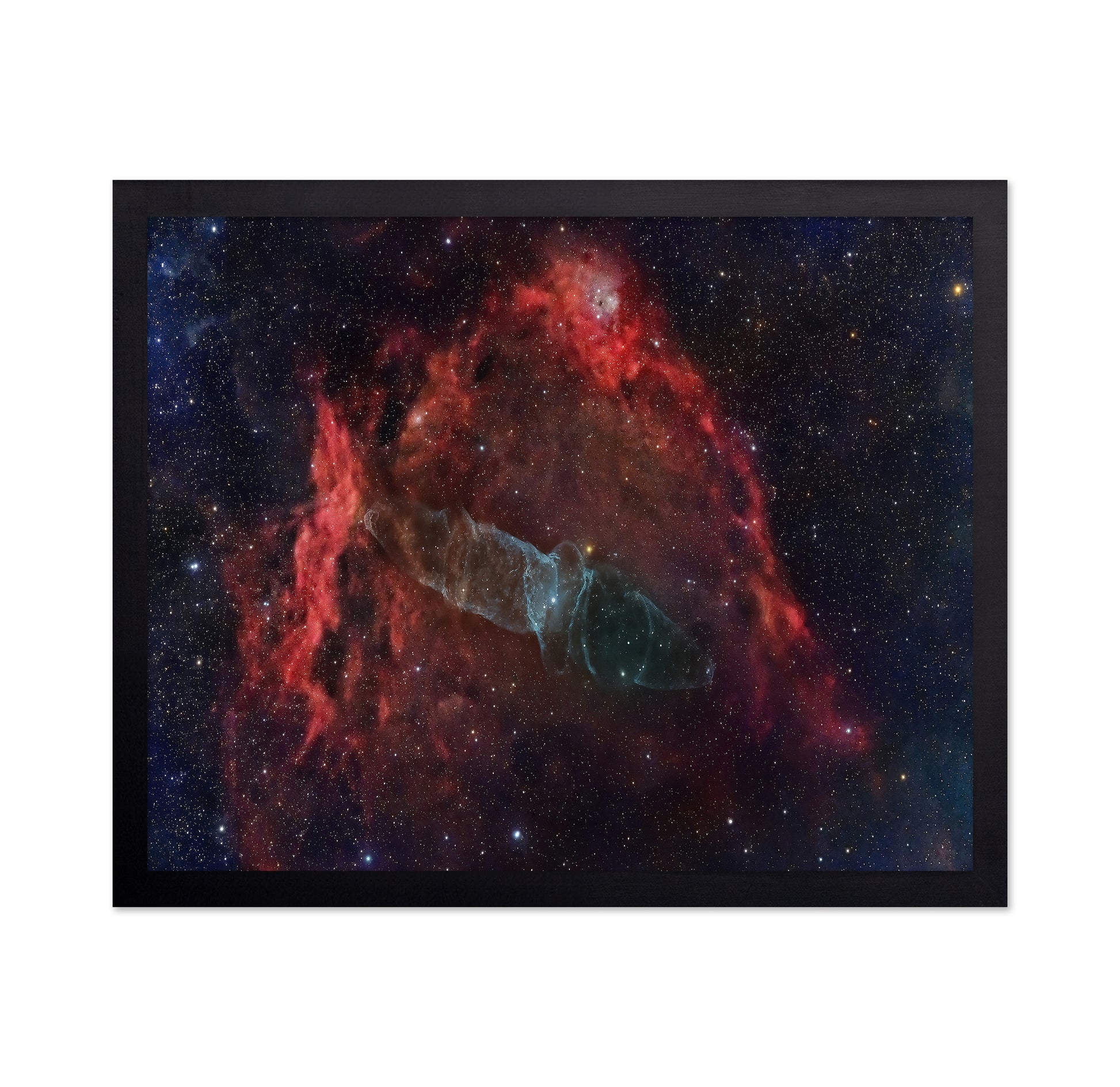 Squid Nebula