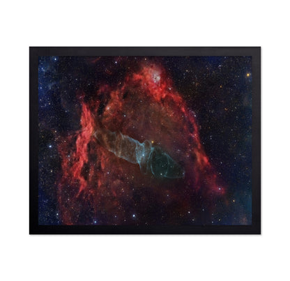Squid Nebula