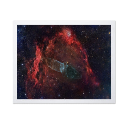 Squid Nebula