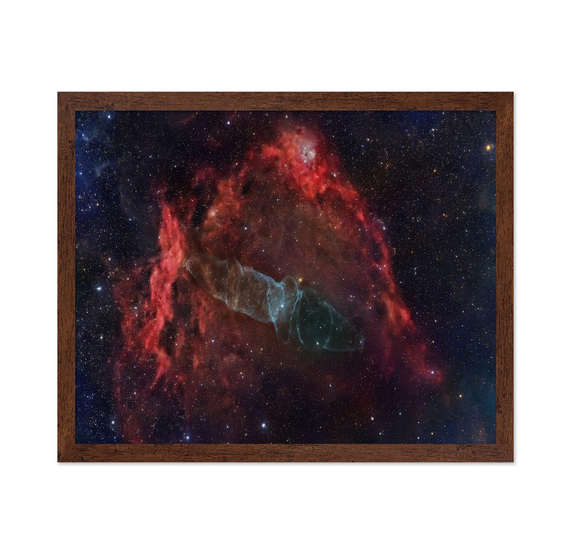 Squid Nebula