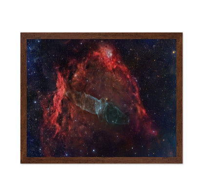 Squid Nebula