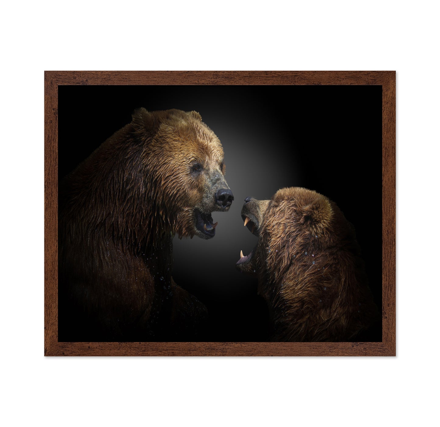 The Fight