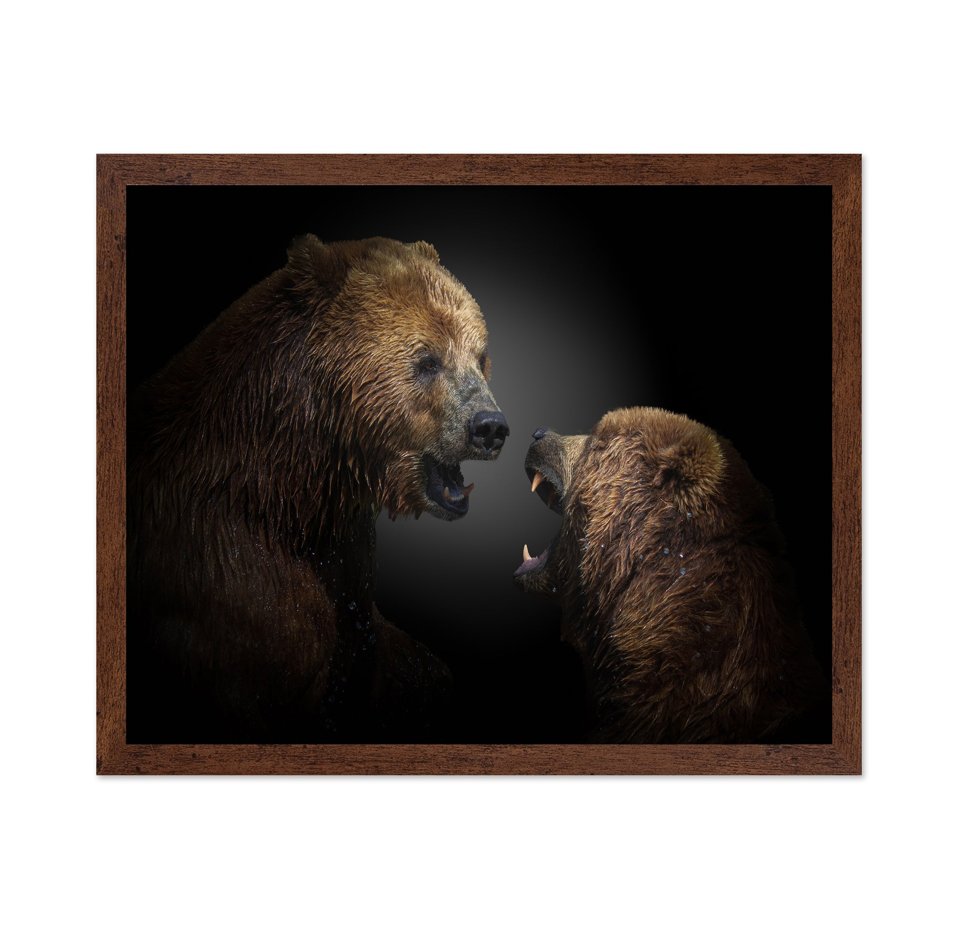 The Fight