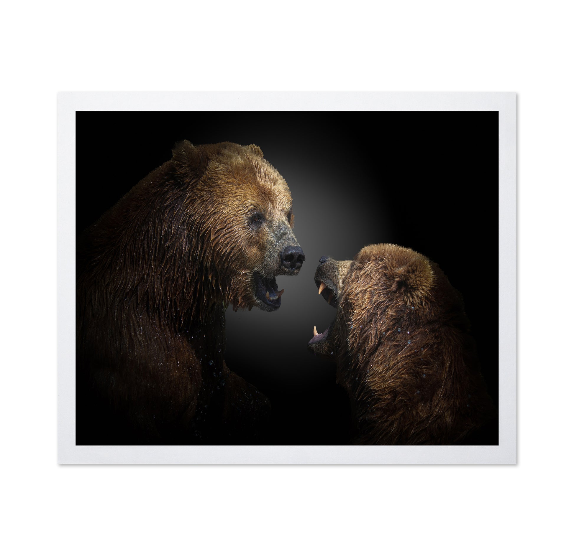 The Fight