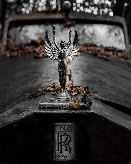 Silver Wings