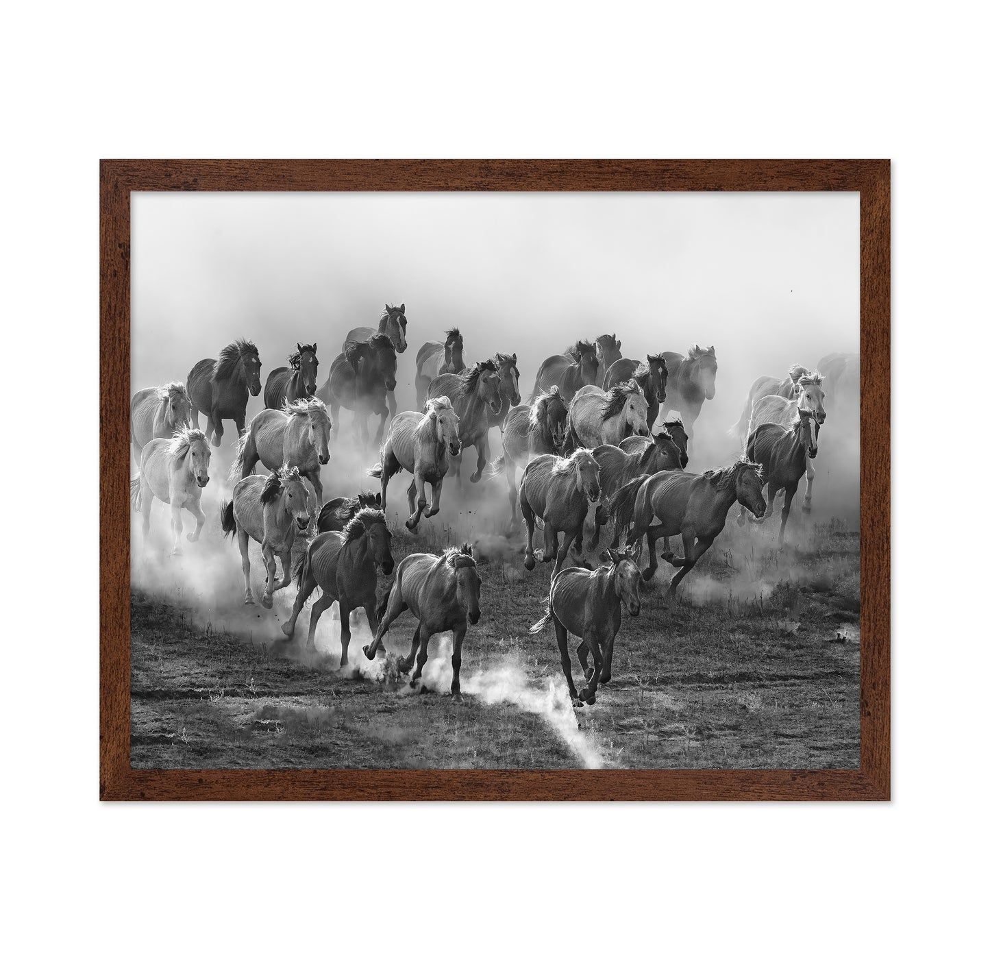 Galloping