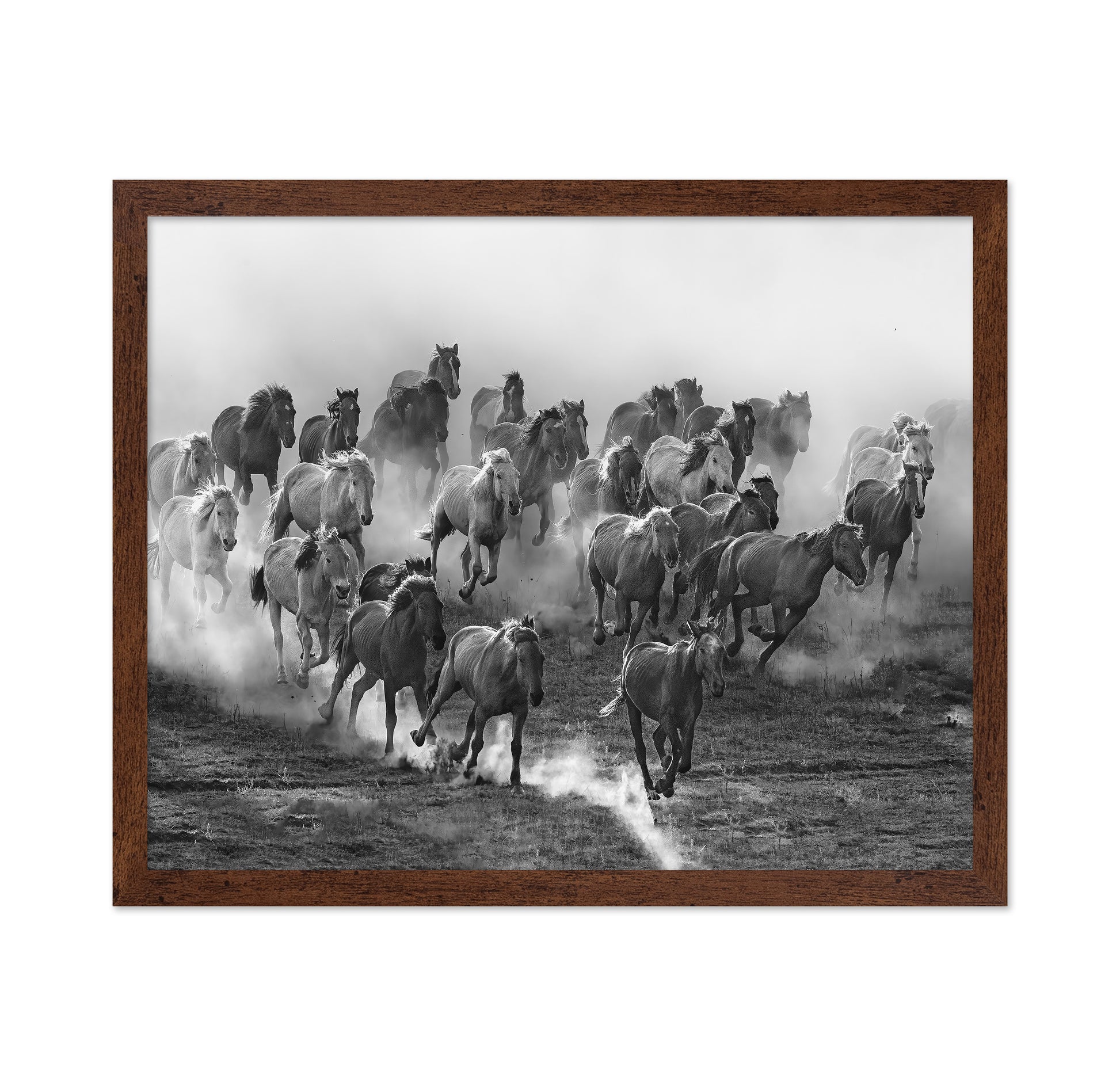 Galloping