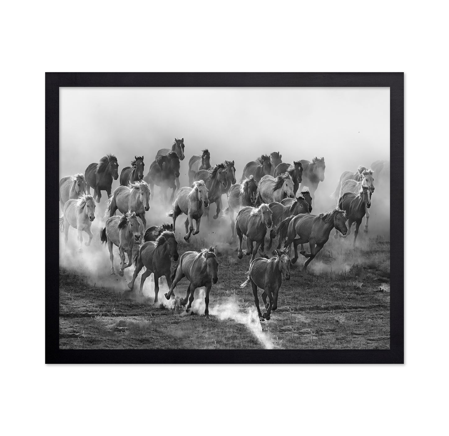 Galloping