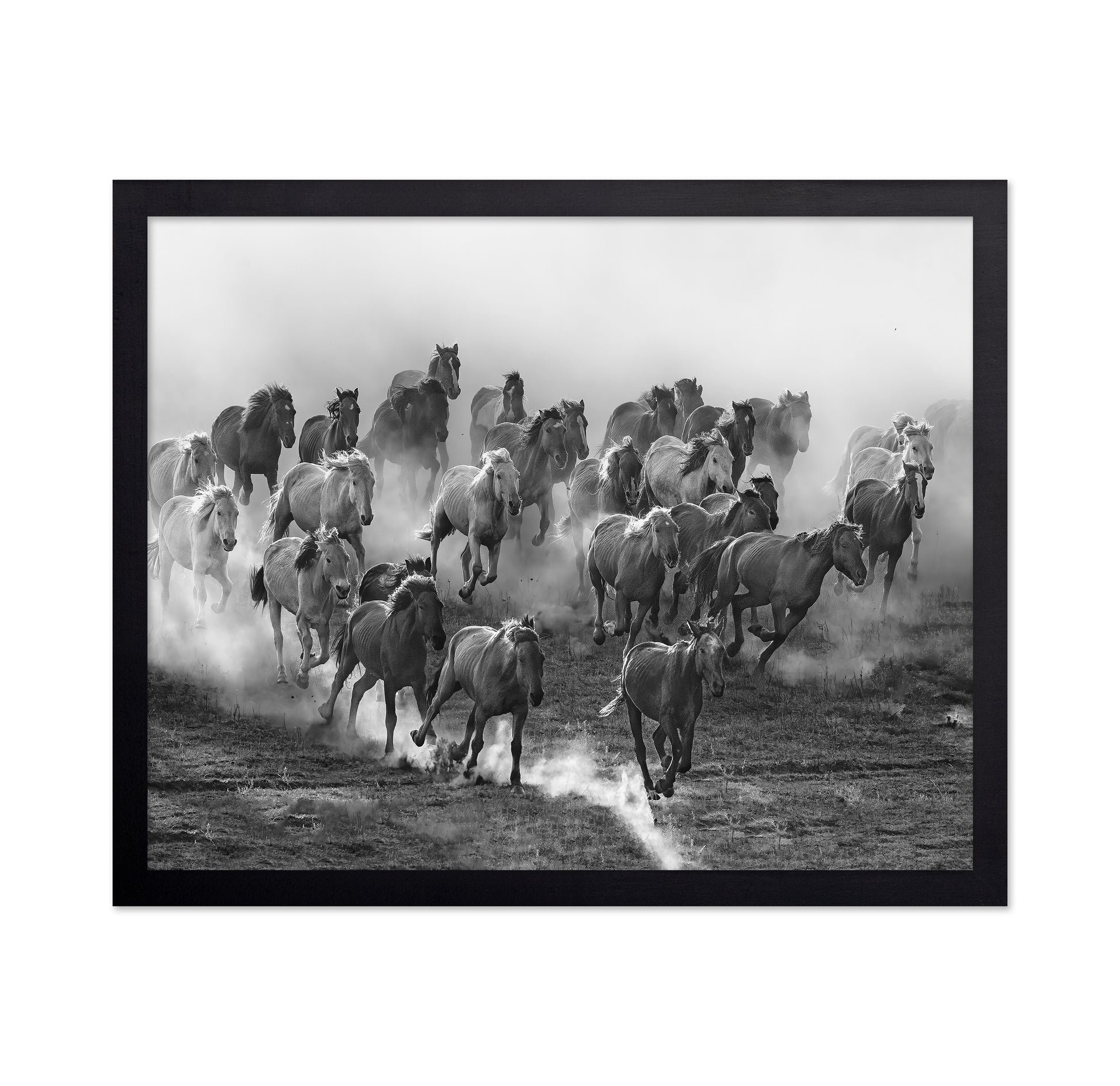 Galloping