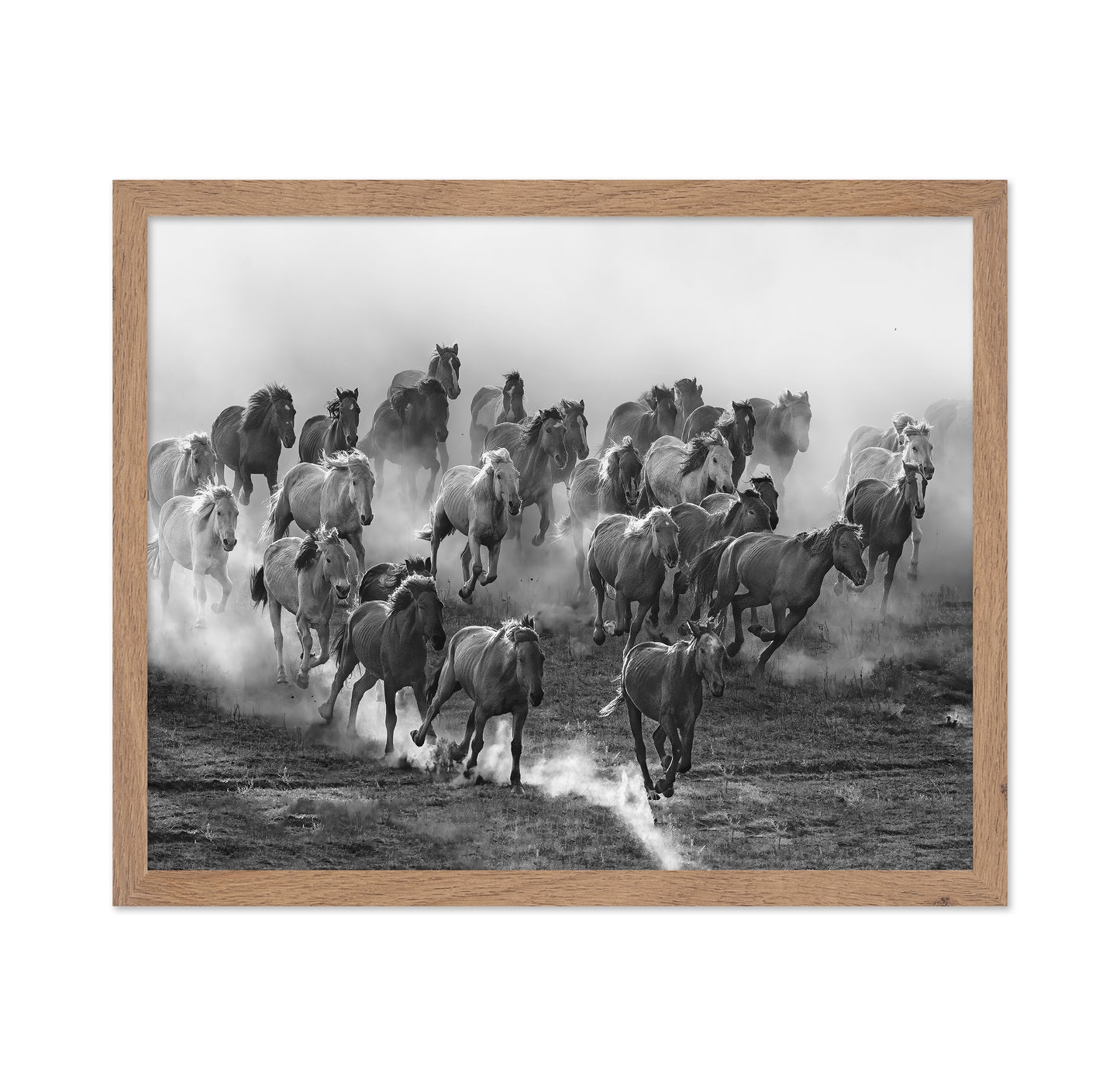 Galloping