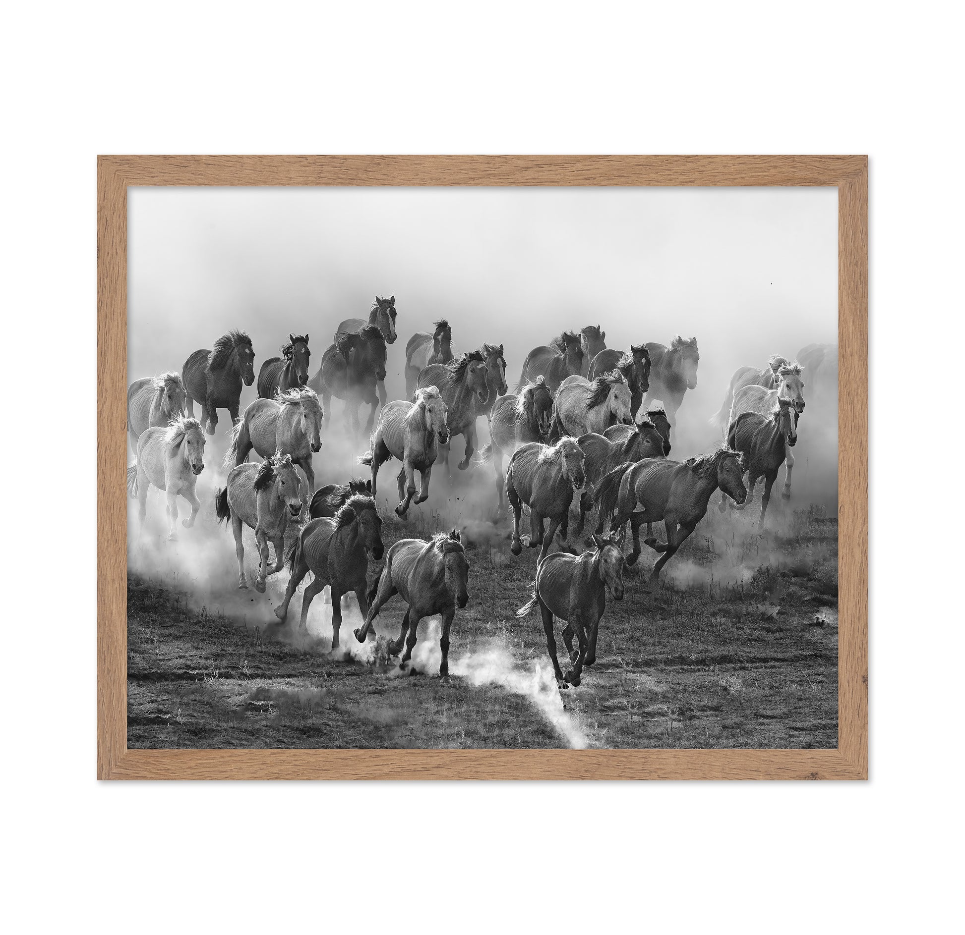Galloping